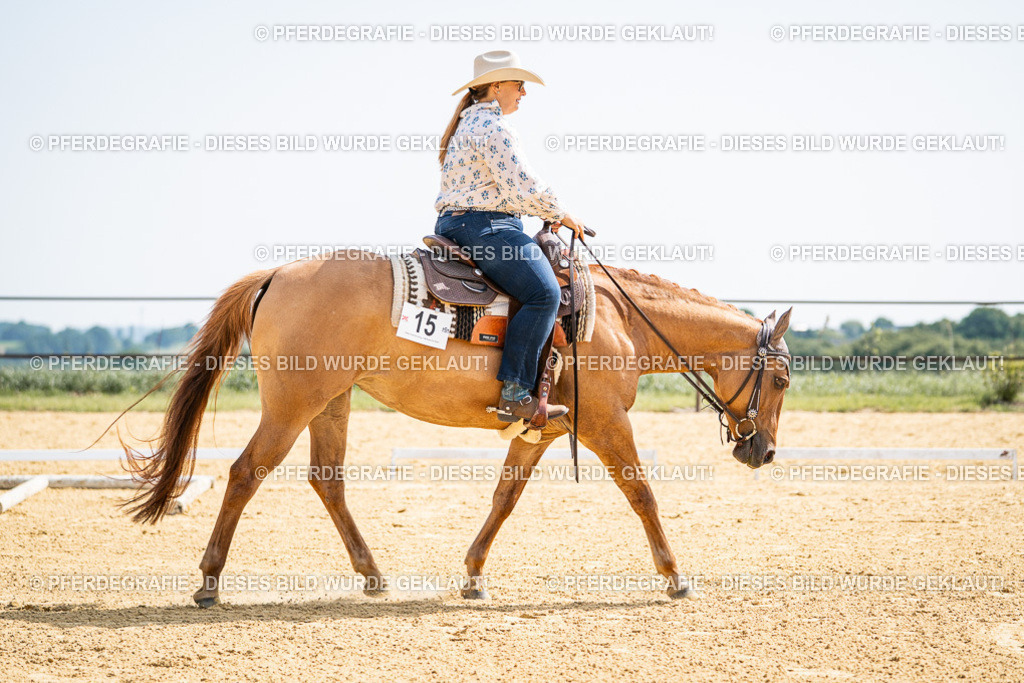 DSC09885 | Pferdegrafie