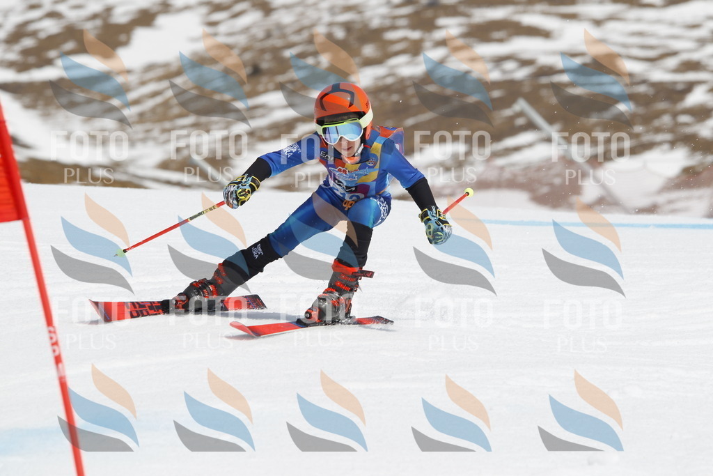 _U3G2249 | holidayphoto