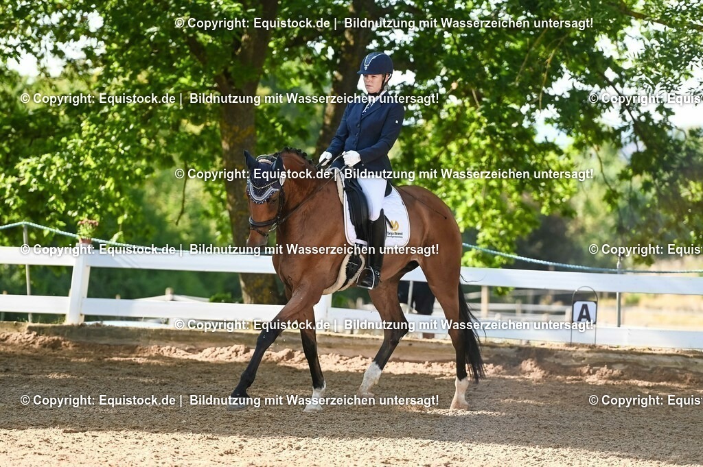 20230715_06_Dressurpferdeprfg. Kl.A_0189 | equistock