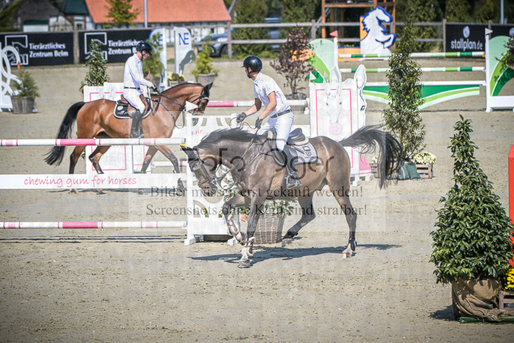 DOS_1234 | Entdecke hochwertige Reitturnierfotos von Foto Oger. Professionell, emotional und authentisch – jetzt Lieblingsmomente im Shop bestellen.Deutschlandweite Turnierfotografie. - Realisiert mit Pictrs.com