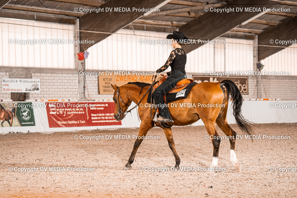 ZH100813 | dv-media-shop - Realisiert mit Pictrs.com