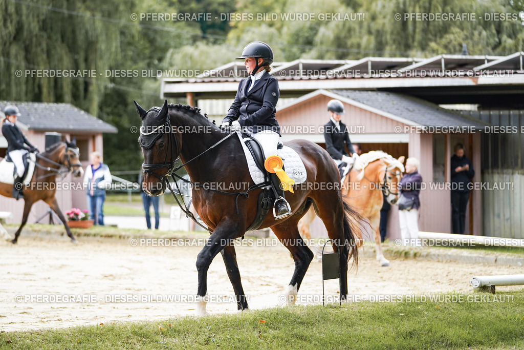 DSC05027 | Pferdegrafie