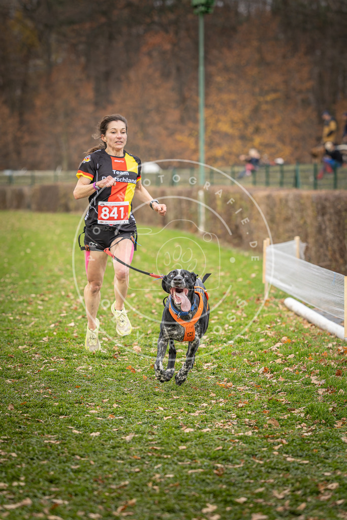 CaniXpix_DV3A6182 | Hundefotografie, Tierfotograf, Pfotenfotografie, Fotoshooting Hund, Hunde Portrait, Hundesport, Hundeportraits, Heideshooting, Hunde, Sportfotograf, Hundefotograf, Turnierhundsport, THS,  - Realisiert mit Pictrs.com