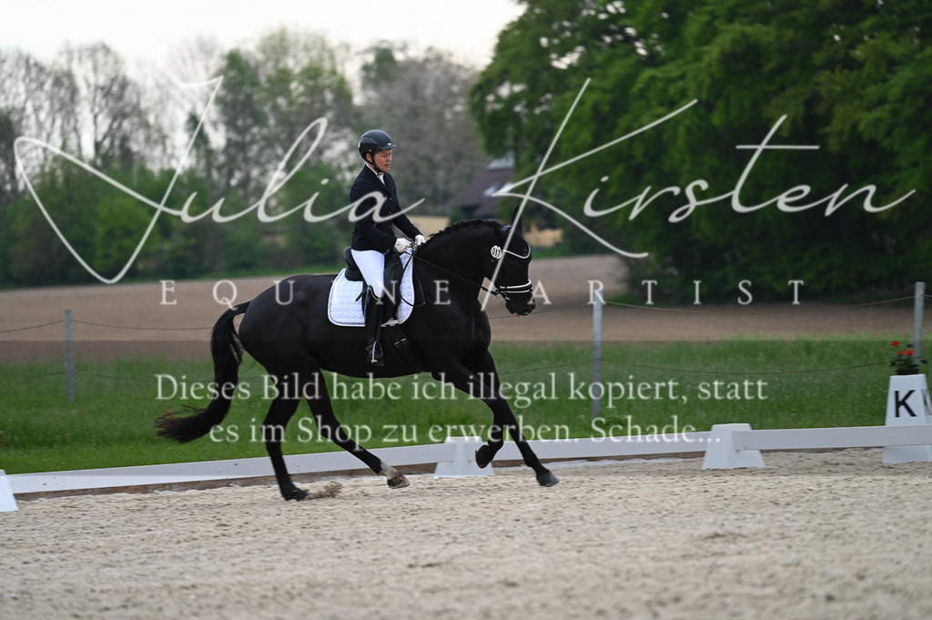 20230512_JK-Röhrsdorf-02-015 | Pferde- und Turnierfotografie in Westsachsen. Pferdeportraits, Auftragszeichnungen und intuitive Kunst.