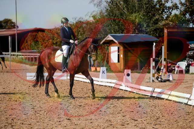 2026_10_03_Siefer-Hof_130419_Z63_66908890 | Professionelle Reitsport-, Turnier- und Eventfotografie von Robert Broda. Galerien mit ausgewählten und bearbeiteten Bildern direkt online ansehen und bestellen.
