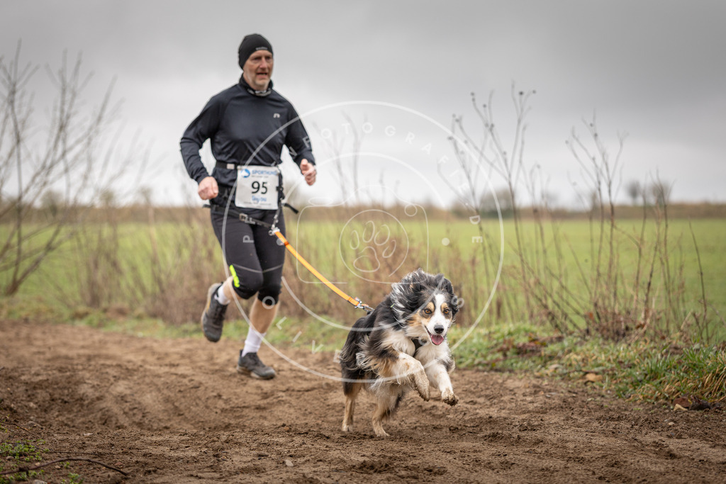 DV3A0089 | Hundefotografie, Tierfotograf, Pfotenfotografie, Fotoshooting Hund, Hunde Portrait, Hundesport, Hundeportraits, Heideshooting, Hunde, Sportfotograf, Hundefotograf, Turnierhundsport, THS,  - Realisiert mit Pictrs.com