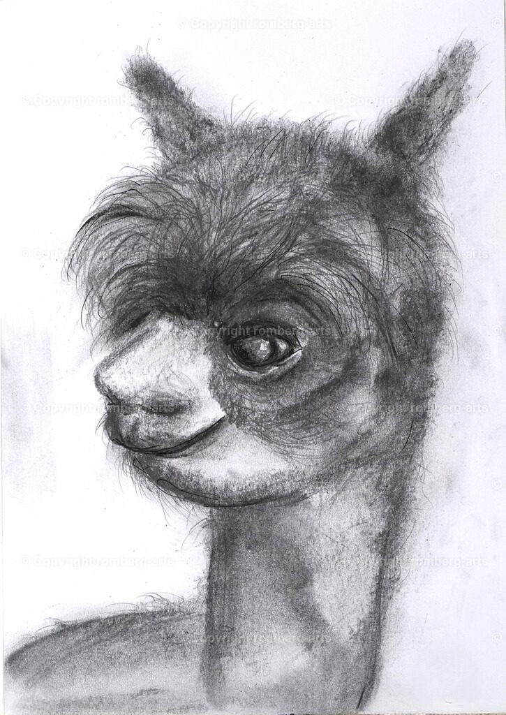 L1020664 | romberg-arts, romberg-arts.de, www.romberg-arts.de, Foto_Online_Shop, Julia Fuhrmann, Köln, Fotos, Fotografie, Fotokunst, Kunstdrucke, Naturfotos, Aktfotos, Nacktfotos, schwarz_weiß_Fotos, Blumenfotos, Blumen, Tiere, Beton, Korrosion, Lächeln, Drucke