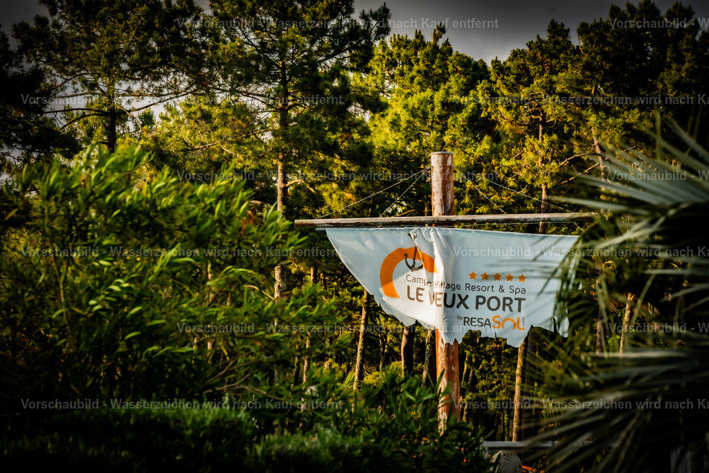 DSC01746 | marcuslinek