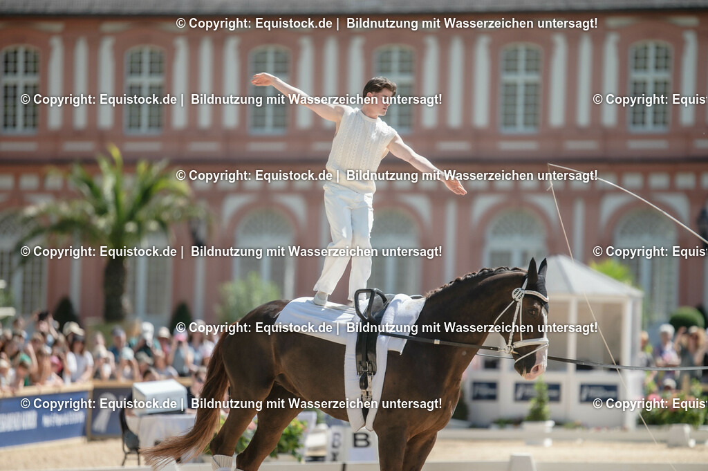 20230528_Voltigieren_NASPA_0098 | equistock