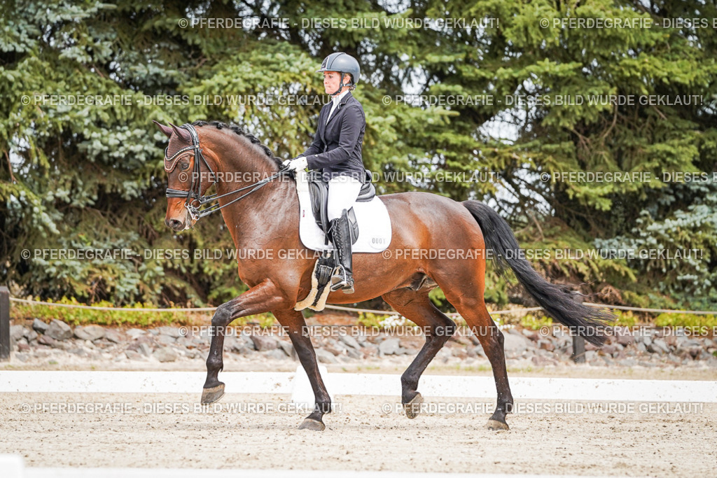 DSC04905 | Pferdegrafie