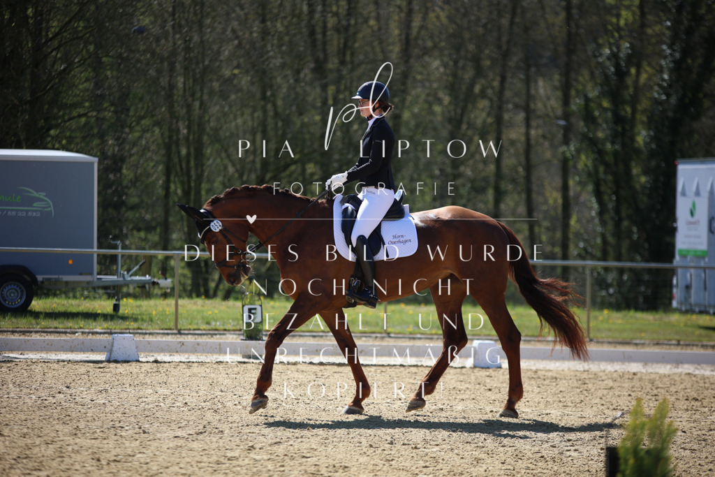 IMGT0766 | pl-fotografie