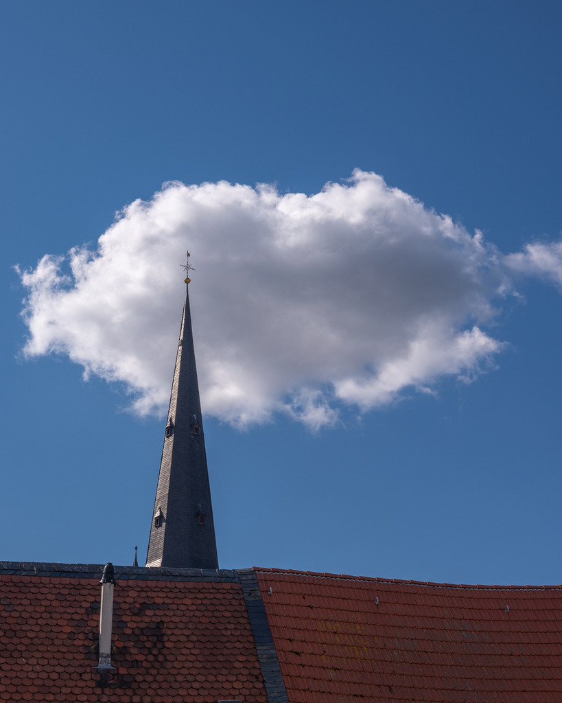 _DSC8774 | renerovisanfotoart.com