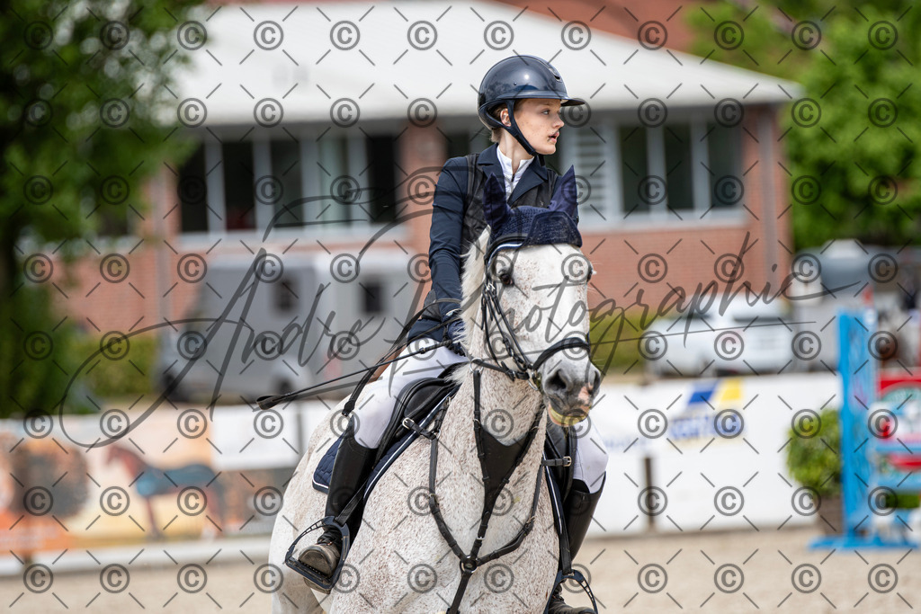 KPT_5399 | andre_photographic