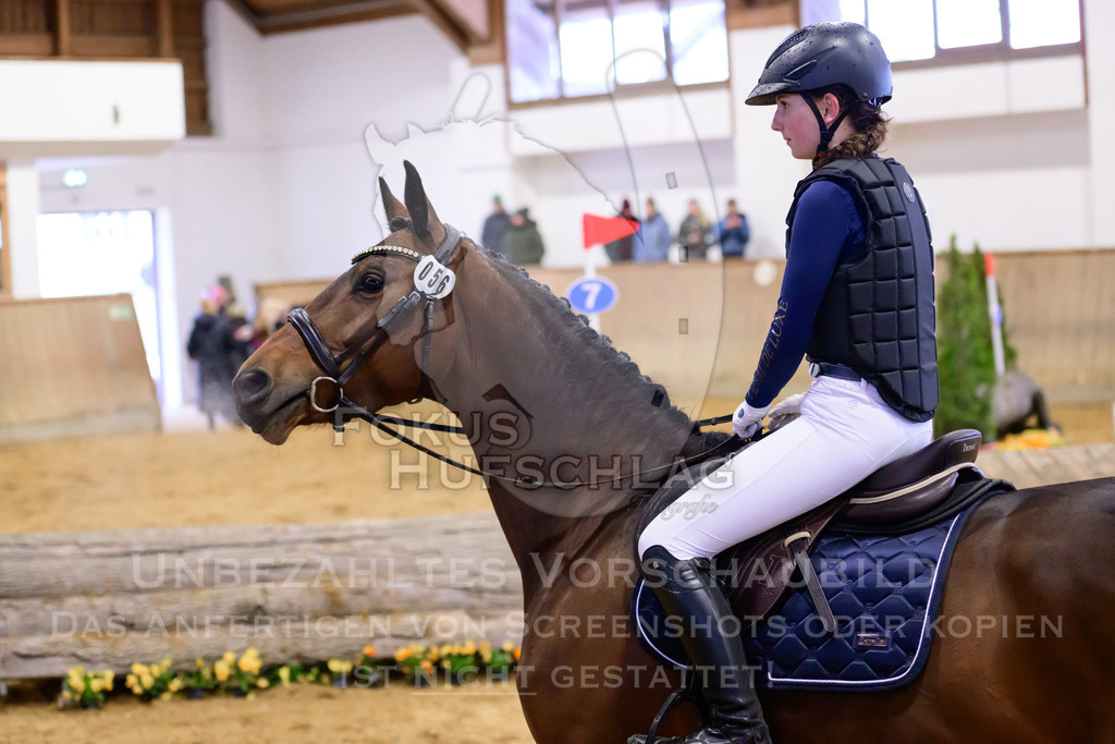 29032026-Schwaiganger-Prfg02-1-0216 | Fokus Hufschlag Fotografie - Realisiert mit Pictrs.com