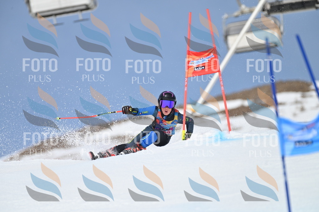 BGV_2733 | holidayphoto