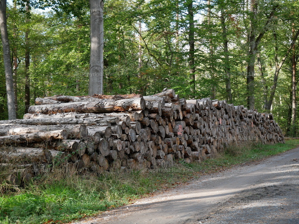 P1000483 | Stockfotos, Fotos mit Miniaturfiguren und kreativen Ideen. Dabei auch vieles aus der Metropolregion Rhein-Neckar. 