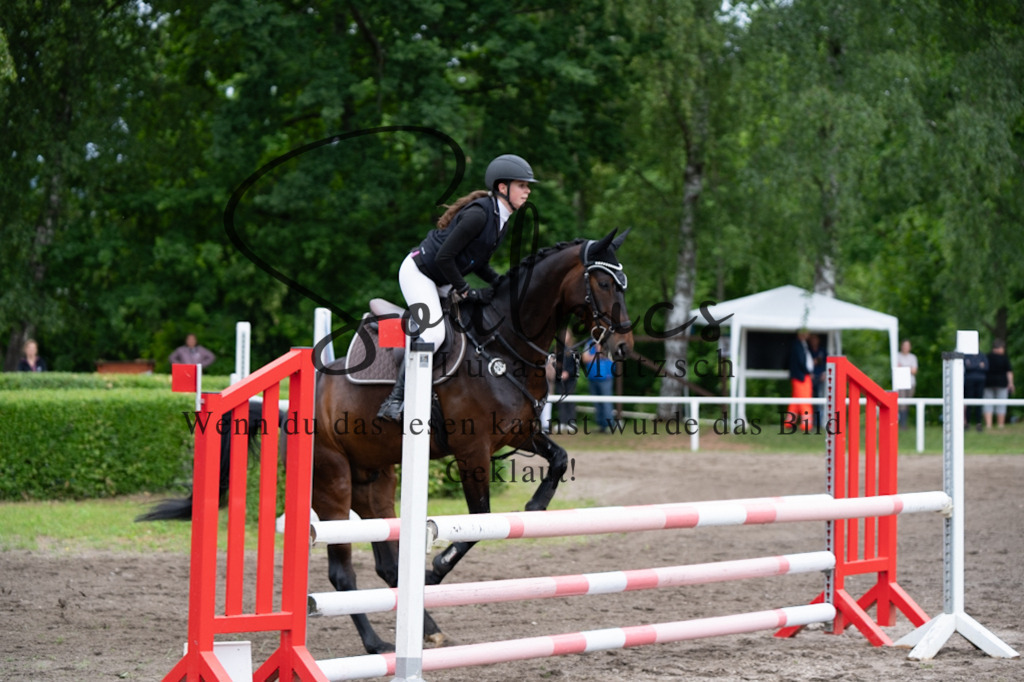 A7V03894 | Pferdefotograf