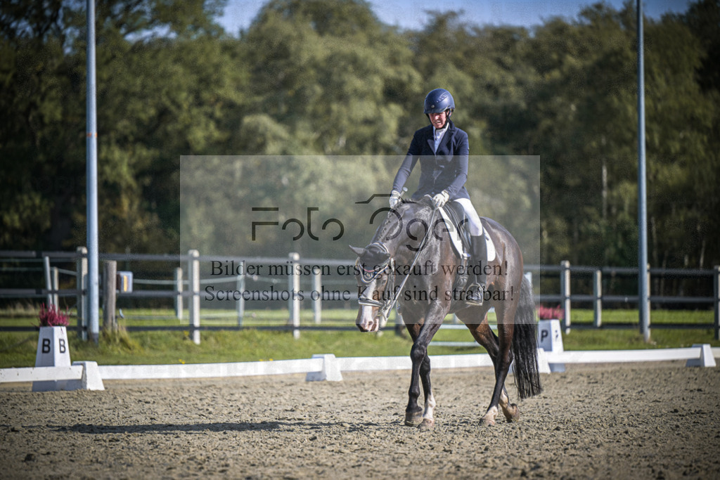 DOS_2555 | Entdecke hochwertige Reitturnierfotos von Foto Oger. Professionell, emotional und authentisch – jetzt Lieblingsmomente im Shop bestellen.Deutschlandweite Turnierfotografie. - Realisiert mit Pictrs.com