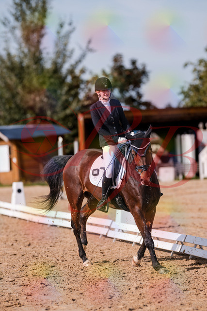 2026_10_03_Siefer-Hof_125759_Z81_47436884 | Professionelle Reitsport-, Turnier- und Eventfotografie von Robert Broda. Galerien mit ausgewählten und bearbeiteten Bildern direkt online ansehen und bestellen.