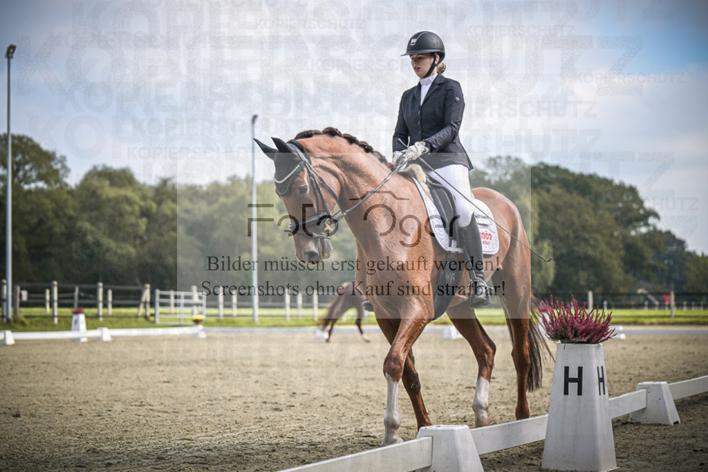 DOS_B653 | Entdecke hochwertige Reitturnierfotos von Foto Oger. Professionell, emotional und authentisch – jetzt Lieblingsmomente im Shop bestellen.Deutschlandweite Turnierfotografie. - Realisiert mit Pictrs.com