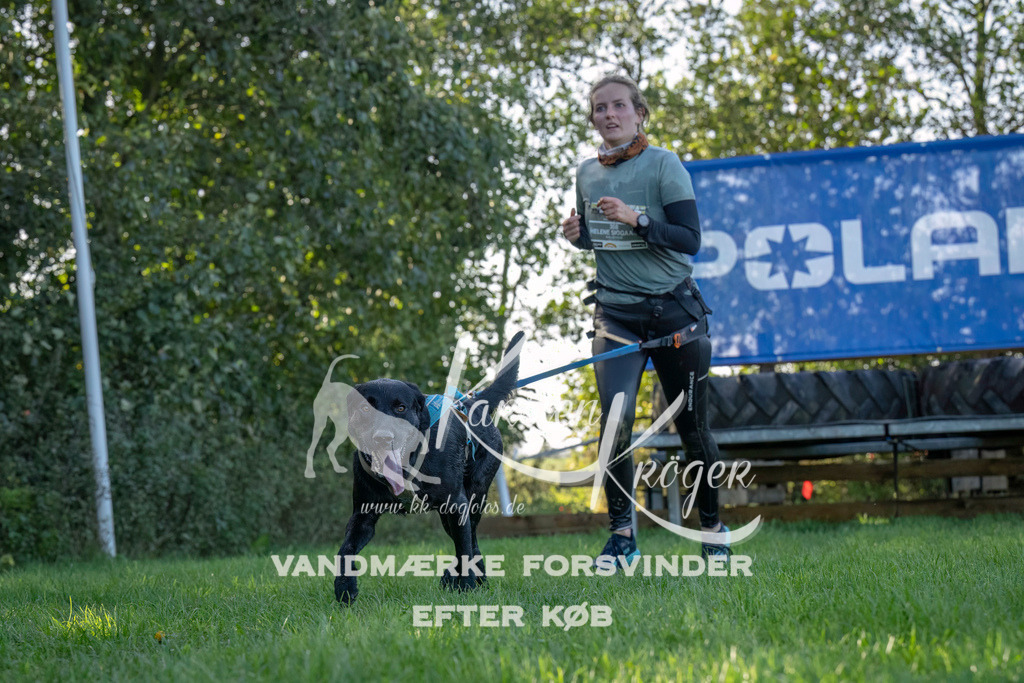 1046--9 | kk-dogfotos