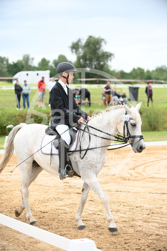 DSC_5463 | sattelsport - Realisiert mit Pictrs.com