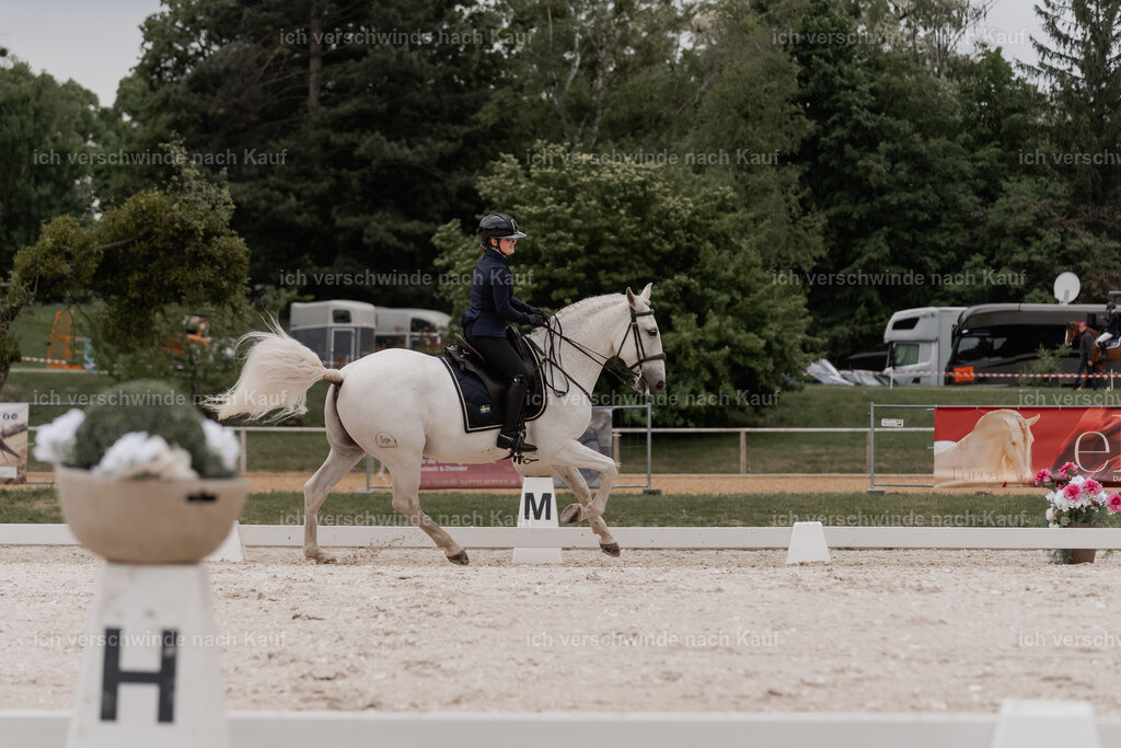 WE_DR_Stoib_328_PI2025_413 | Pferd International München 2025