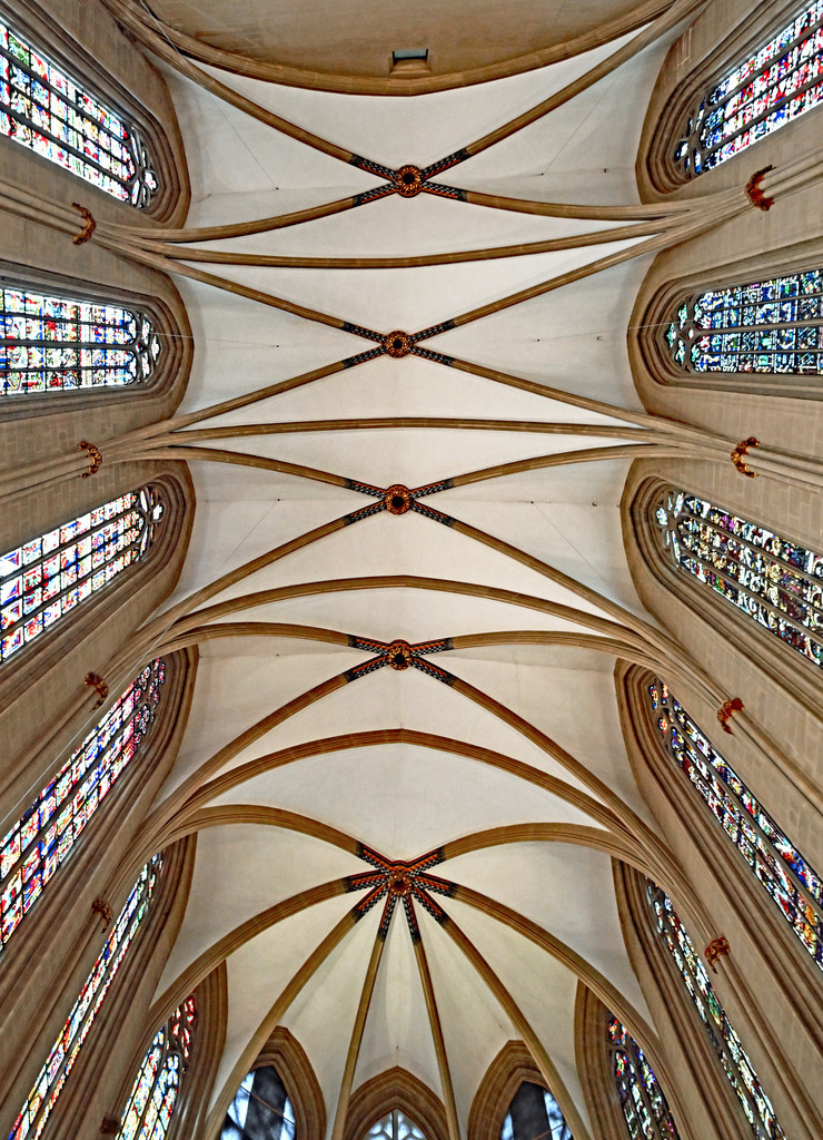 Dom13h | greenwatching-with-luci - Realisiert mit Pictrs.com