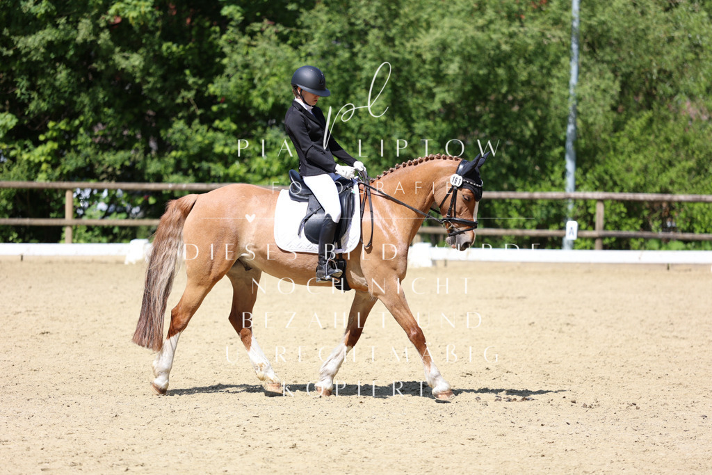 IMGS3974 | pl-fotografie