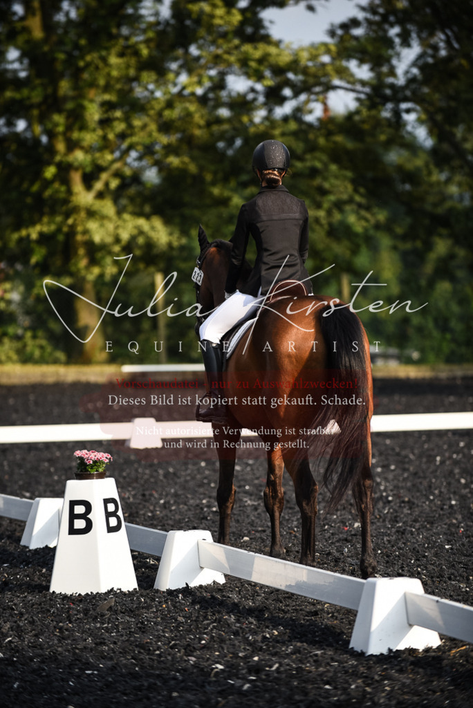 DSC_3488 | Pferde- und Turnierfotografie in Westsachsen. Pferdeportraits, Auftragszeichnungen und intuitive Kunst.
