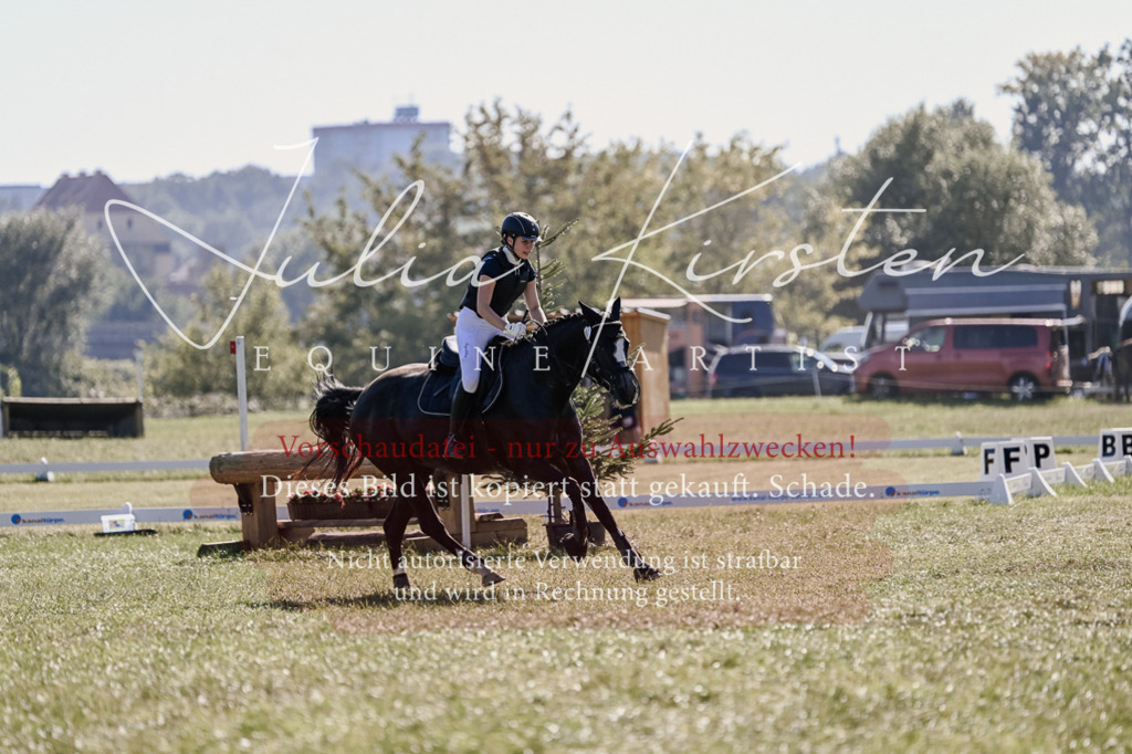 DSC_3545 | Pferde- und Turnierfotografie in Westsachsen. Pferdeportraits, Auftragszeichnungen und intuitive Kunst.