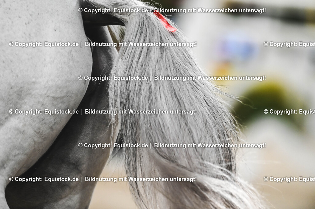 20241115_Preis der Outletcity Metzingen_TOMsPiC_0247 | Foto: Thomas Hartig