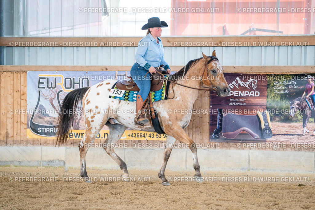 DSC03749 | Pferdegrafie