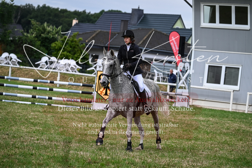 DSC_8346 | Pferde- und Turnierfotografie in Westsachsen. Pferdeportraits, Auftragszeichnungen und intuitive Kunst.