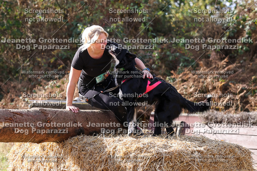 Dog Paparazzi - Strongdog 10-25-5811 | Dog Paparazzi Jeanette Grottendiek Fotografie & Videografie - Realisiert mit Pictrs.com