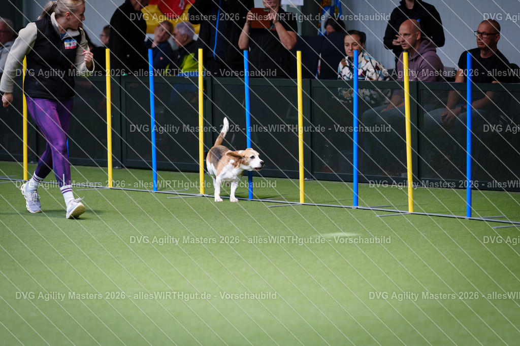 allesWIRTHgut_Tierfotografie-DVG_Agility_Masters_2026-11_22-7R505815 | Professionelle Tierfotografie in Mönchengladbach von Daniel Wirth (allesWIRTHgut). Liebevolle & natürliche Bilder von Hunden & Katzen für unvergessliche Erinnerungen.