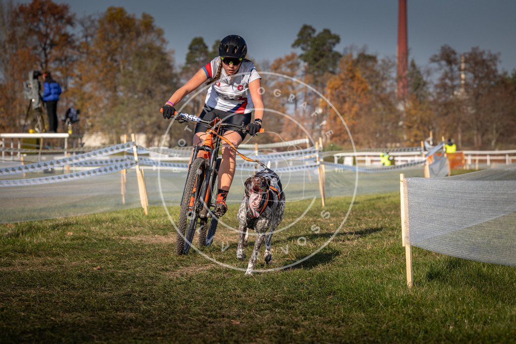 CaniXpix_0L8A6882 | Hundefotografie, Tierfotograf, Pfotenfotografie, Fotoshooting Hund, Hunde Portrait, Hundesport, Hundeportraits, Heideshooting, Hunde, Sportfotograf, Hundefotograf, Turnierhundsport, THS,  - Realisiert mit Pictrs.com