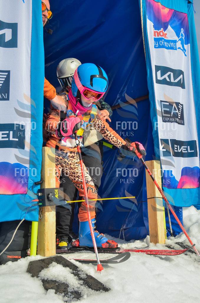 _ELE4359 | holidayphoto