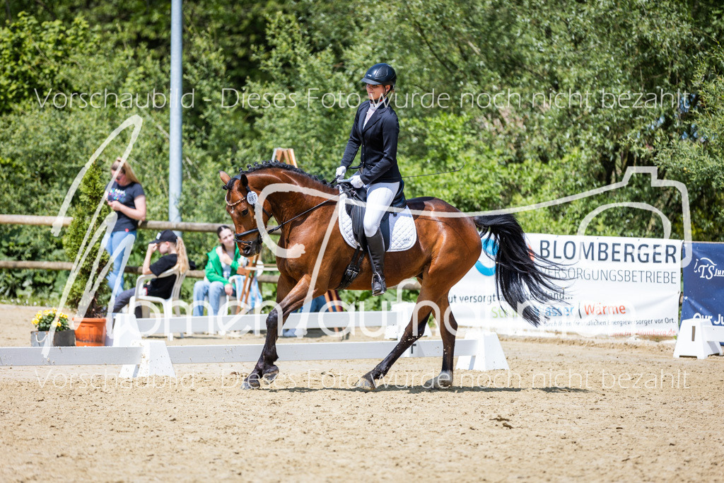 Donop24-EDre-010 | MomenTaufnahmen Pferdesportfotos