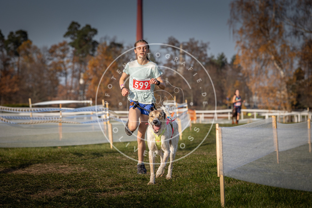 CaniXpix_0L8A0031 | Hundefotografie, Tierfotograf, Pfotenfotografie, Fotoshooting Hund, Hunde Portrait, Hundesport, Hundeportraits, Heideshooting, Hunde, Sportfotograf, Hundefotograf, Turnierhundsport, THS,  - Realisiert mit Pictrs.com