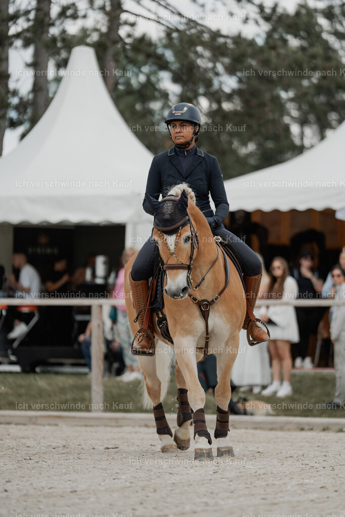WE_ST_Stoib_308_PI2025_981 | Pferd International München 2025
