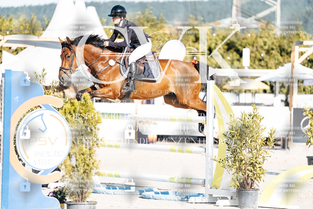 CK904300 | Turnierfotografie Pferdefotografie Trier Rheinland-Pfalz Pferdesport Reitsport Tierfotografie Sportfotografie Pferdevideo Pferdevideografie Equestrianvideography equestrianphotography  - Realisiert mit Pictrs.com