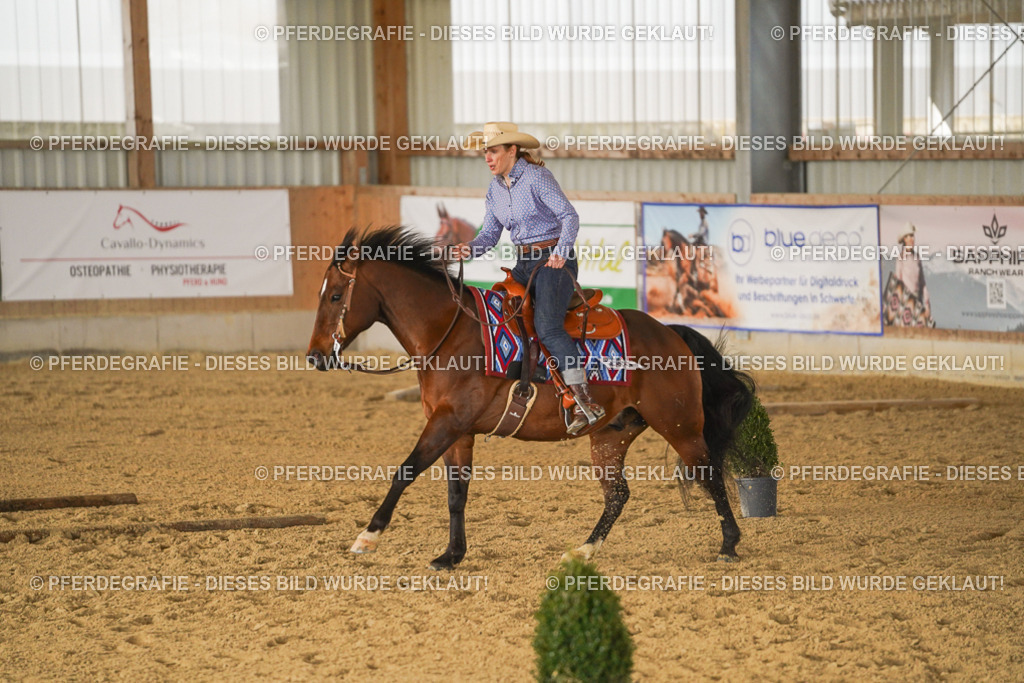 DSC03273 | Pferdegrafie