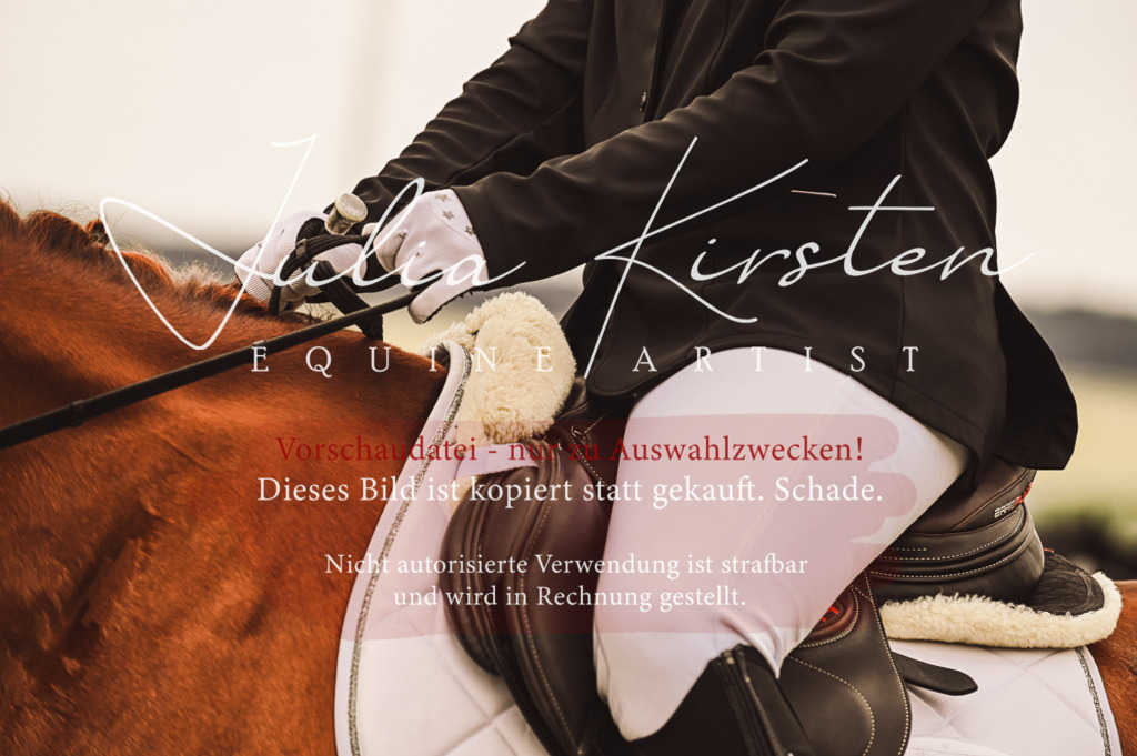 DSC_5050 | Pferde- und Turnierfotografie in Westsachsen. Pferdeportraits, Auftragszeichnungen und intuitive Kunst.