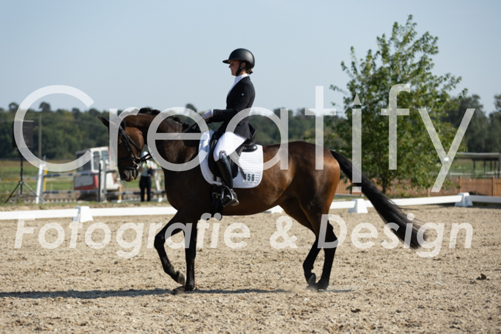 IMG_5966 | Creatify Fotografie