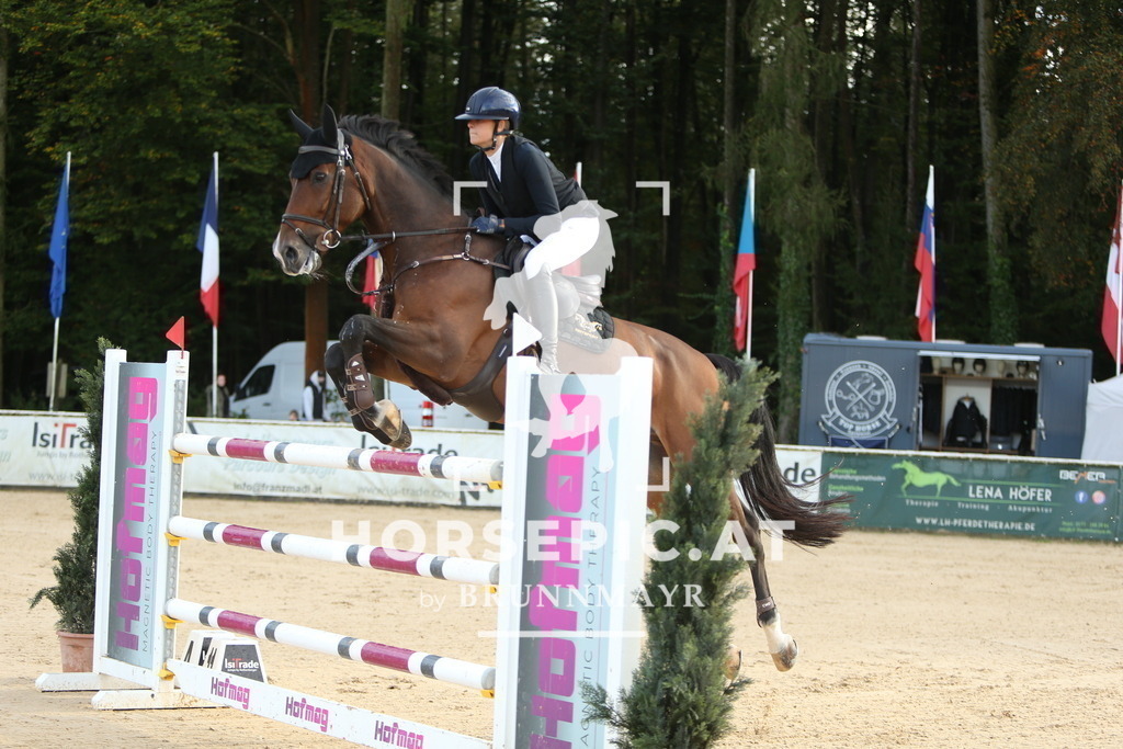 DL2Q7320 | Willkommen bei Brunnmayr - Design & Fotografie – Ihrem Spezialisten für Reitturniere und Pferdeveranstaltungen in Oberösterreich, Salzburg und Bayern! Seit über 17 Jahren sind wir leidenschaftlich dabei.