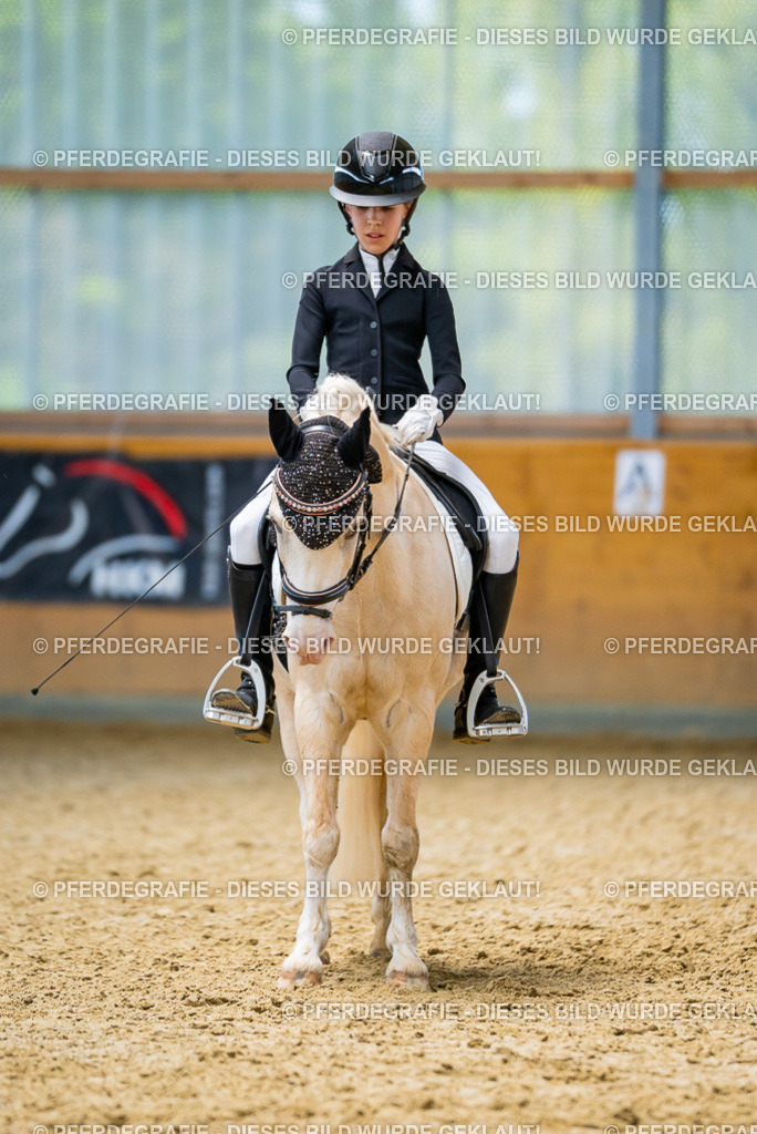 DSC09170 | Pferdegrafie