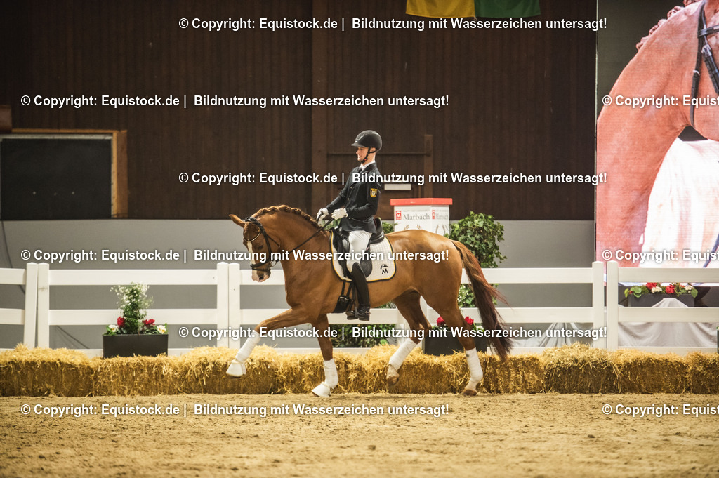 20240302_Hengstvorstellung_Marbach_TOMsPiC_0512 | equistock