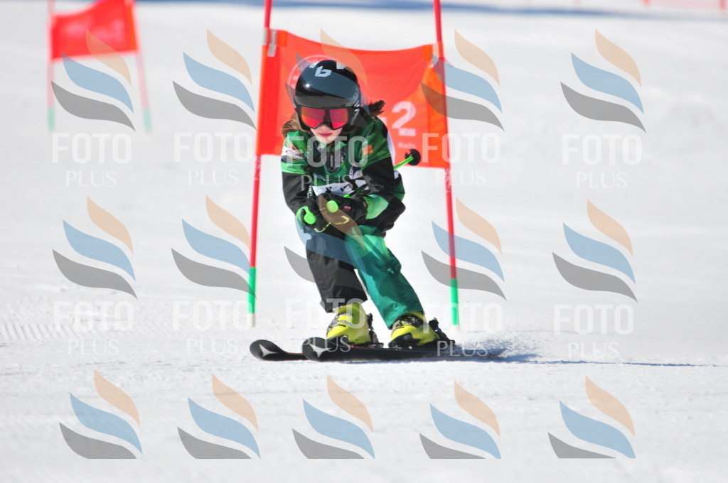 C2291 | holidayphoto