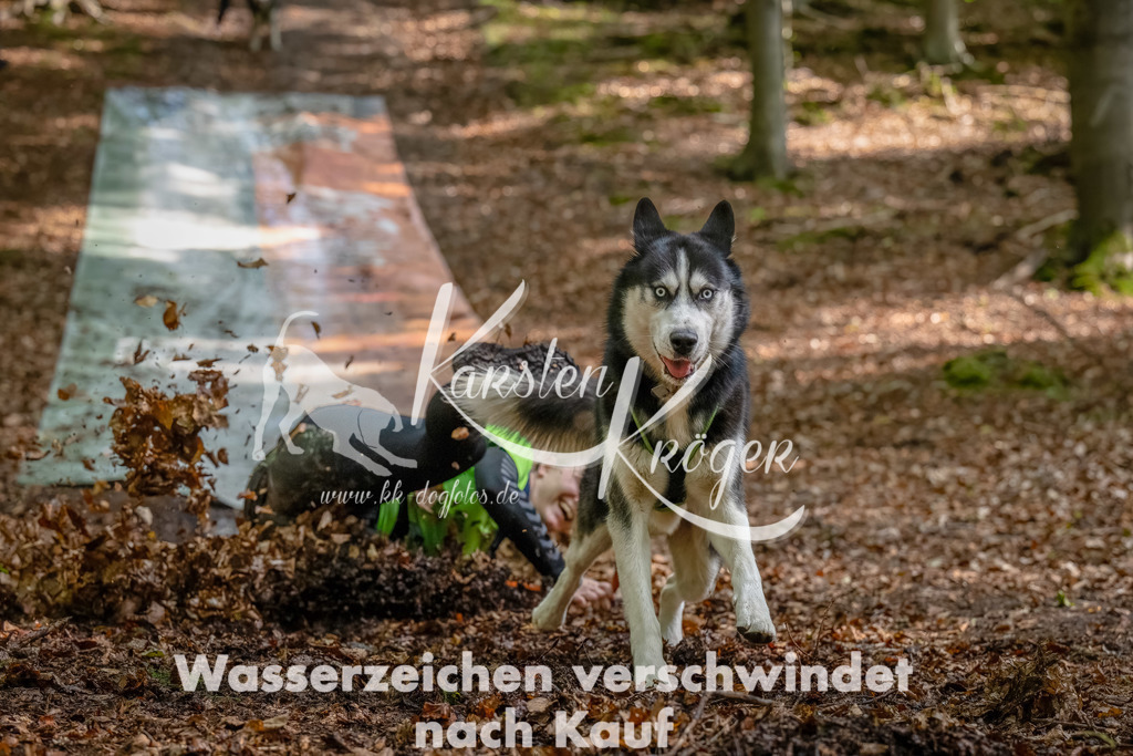 1207_ZZ93189-Bearbeitet-2 | kk-dogfotos
